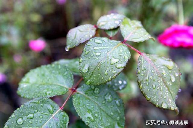 珍藏很久的经典句子,句句实用,醒悟人生