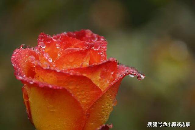 很入心的人生感悟句子,经典现实,催人奋进