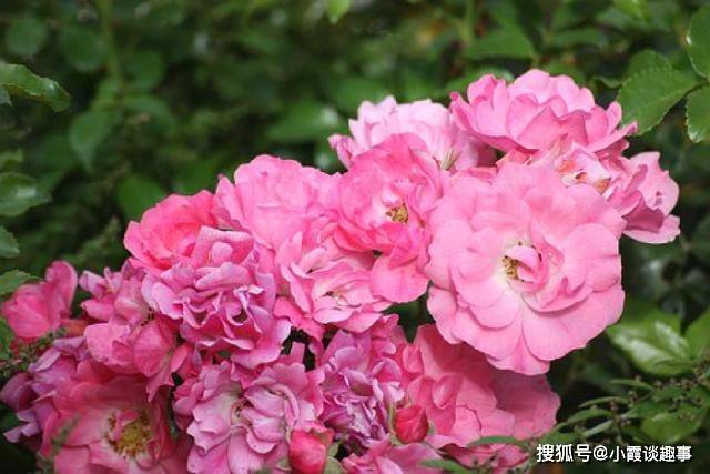珍藏很久的经典句子,句句实用,醒悟人生