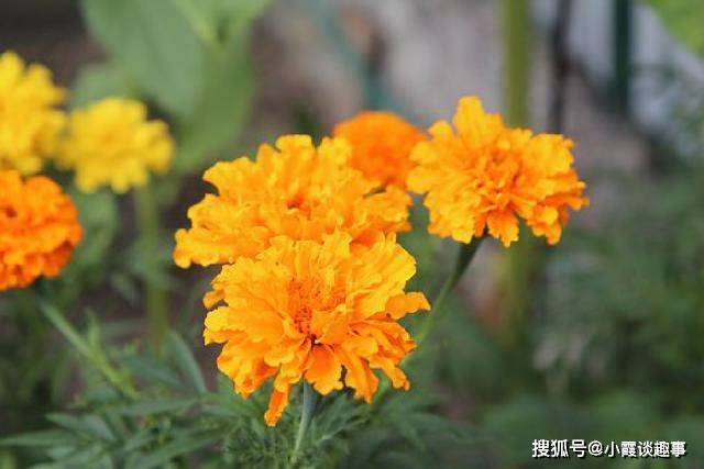 让人心潮澎湃的励志句子,富含哲理,精湛走心