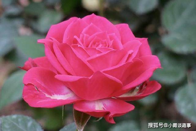很入心的人生感悟句子,经典现实,催人奋进
