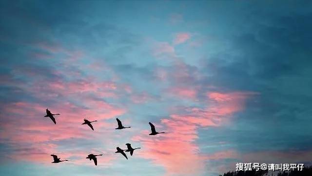 生命不息奋斗不止,让人看了就心潮澎湃,句句受益非浅!