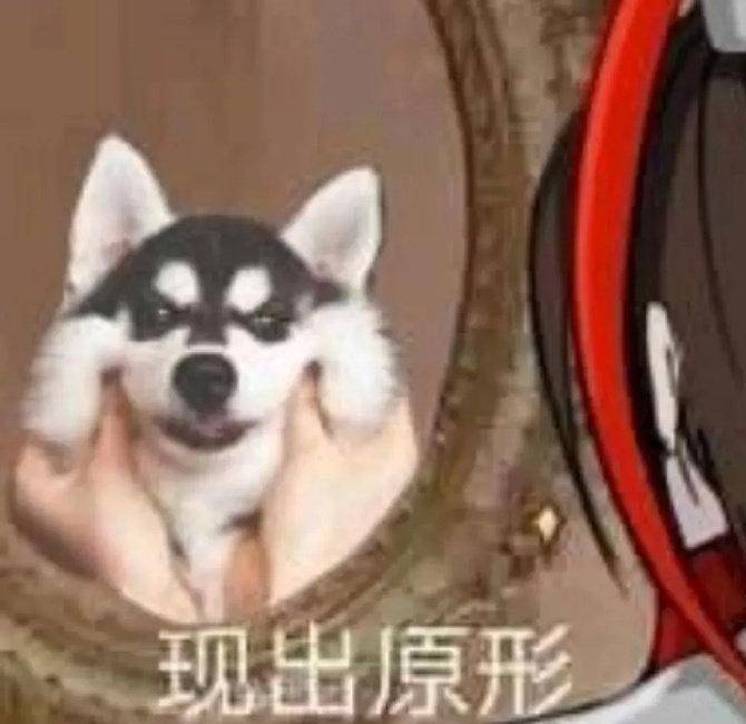 搞笑GIF迷:见识下女汉子的威力,是不是有种蜘蛛侠风范呐
