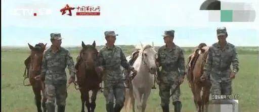 《西游记》拍摄完,白龙马被弃山洞尸骨无存,人性比妖魔更丑恶