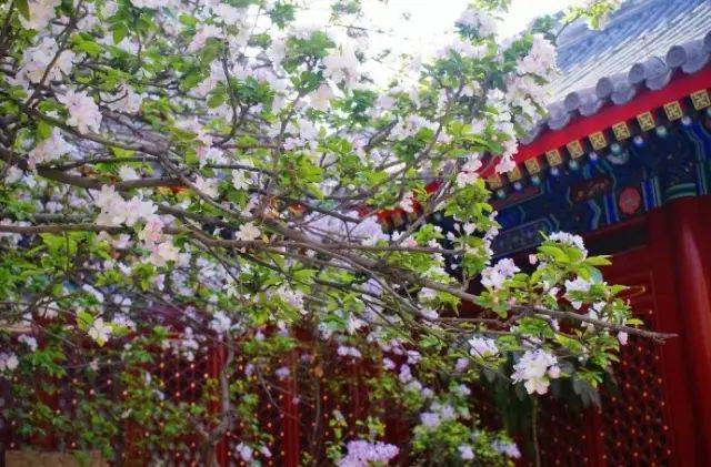 生活18集(全)
