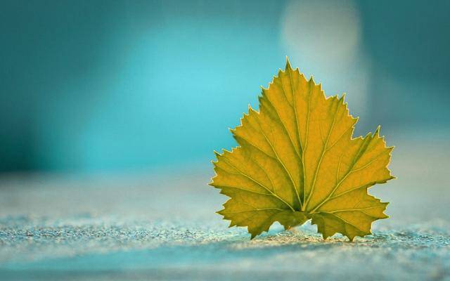 明天11月8号起 处女座·水瓶座·白羊座·天秤座 运势大吉 接福 接财吧