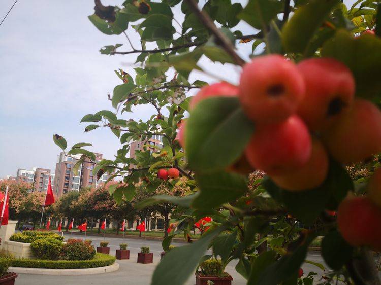 双节庆,喜相逢,一轮明月照杯中(诗词四首)