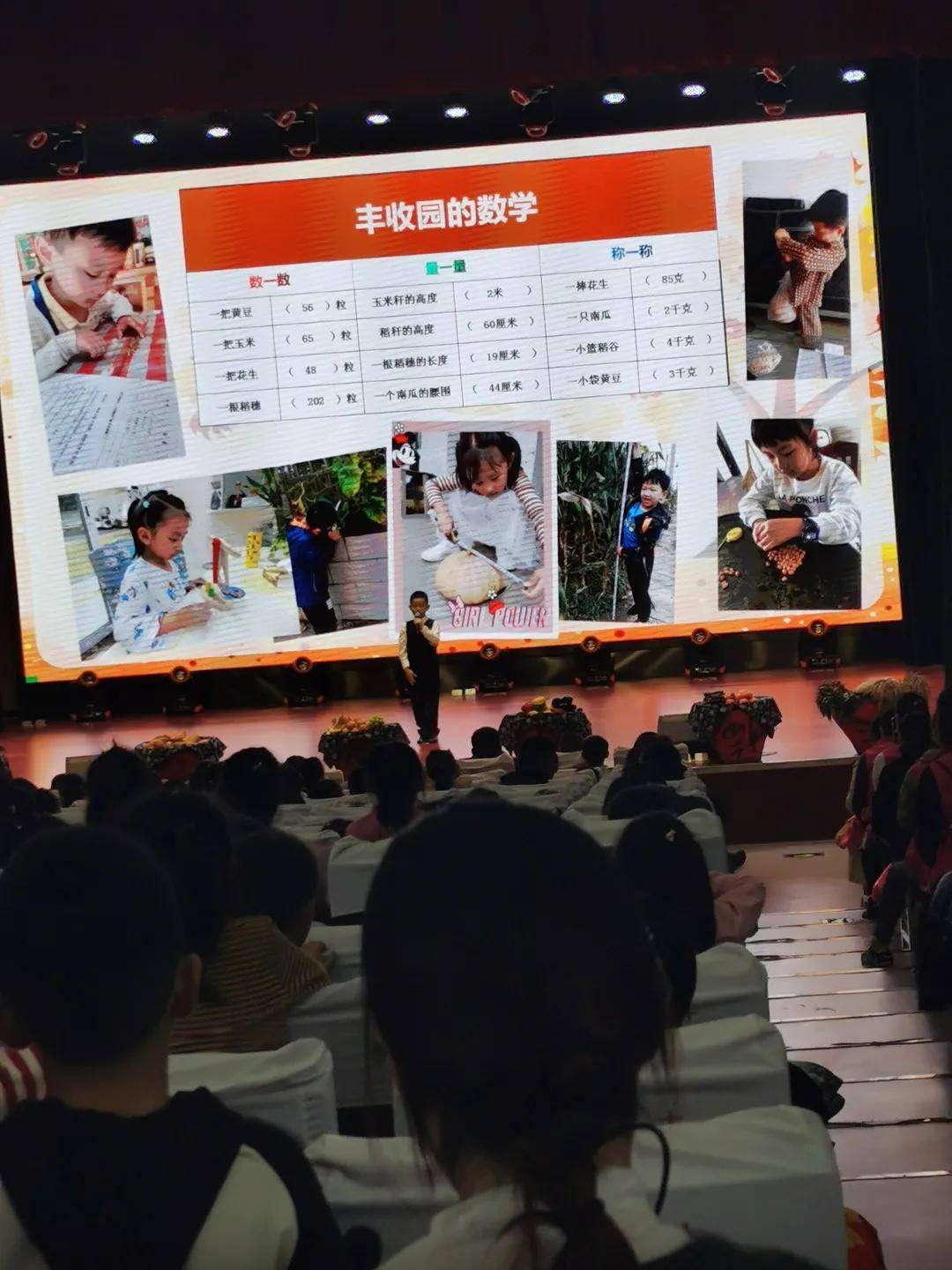 丰收的歌谣