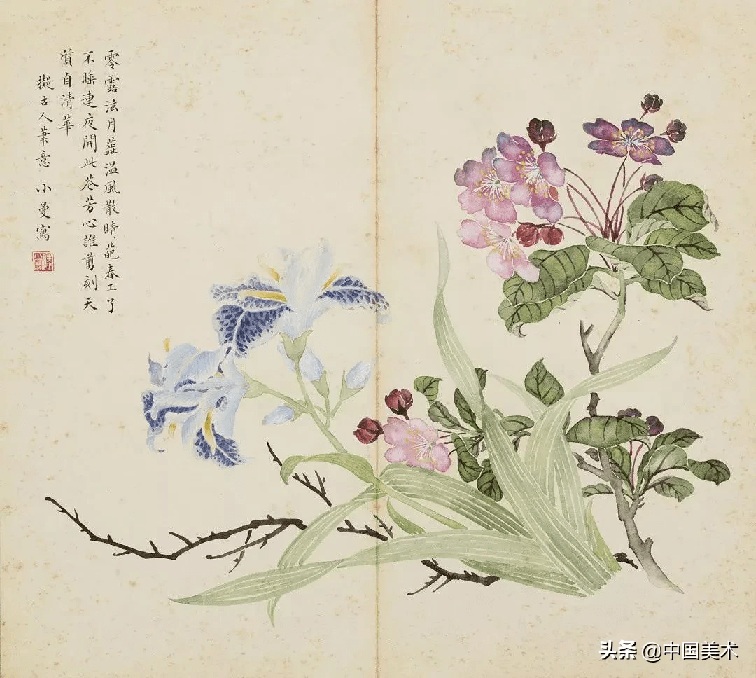陆小曼花卉册页,惊艳