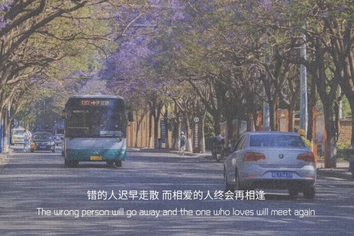 我一个人走路,看落叶空中蝶舞,一个人与天空对话,说说前世今生