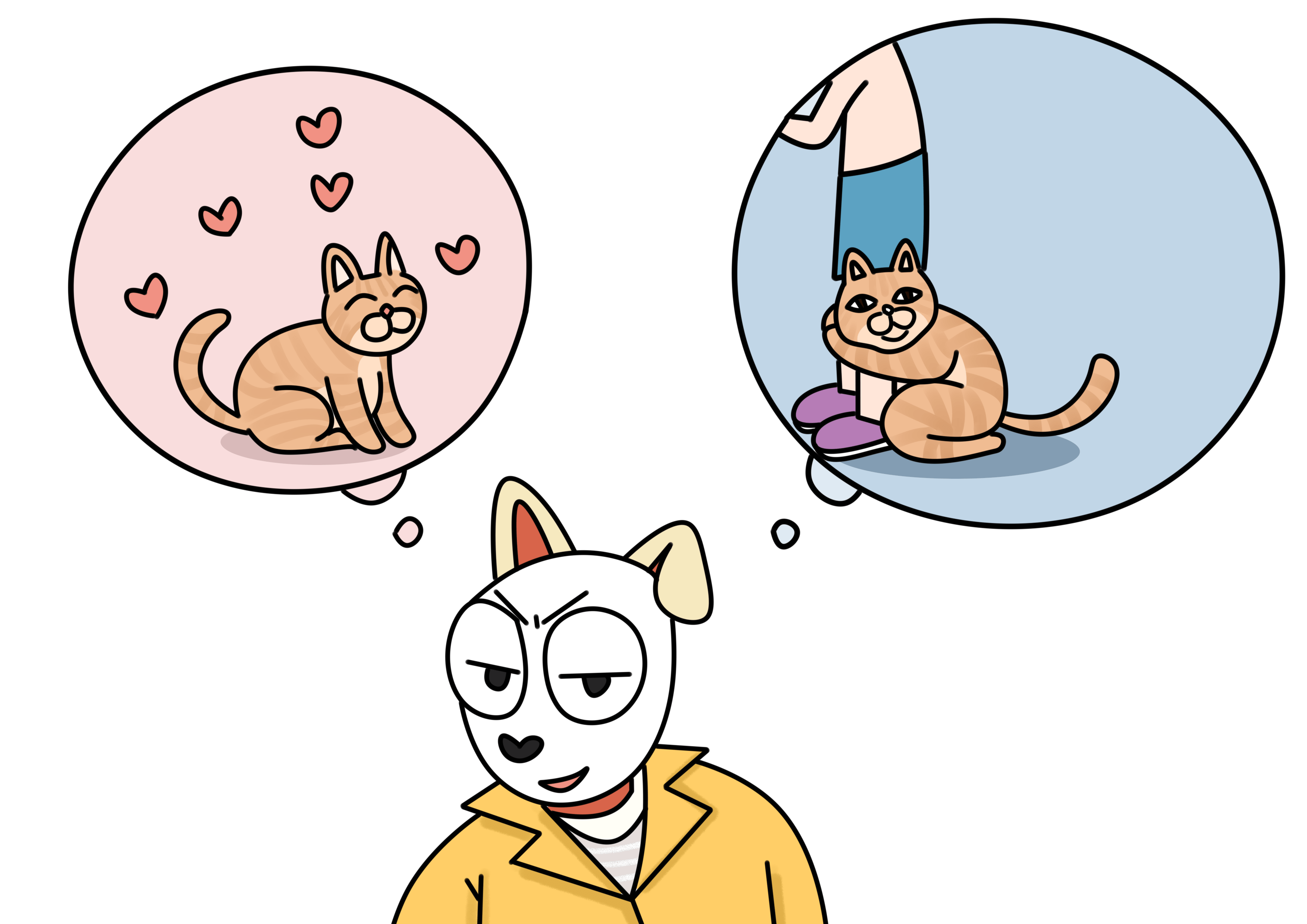 谁说猫养不熟还没良心?猫咪关心你的三种表现,快去奖励它们!