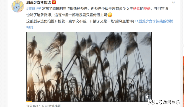 被一剪没?《青簪行》出预告没杨紫镜头,网友直呼该剧应被封杀