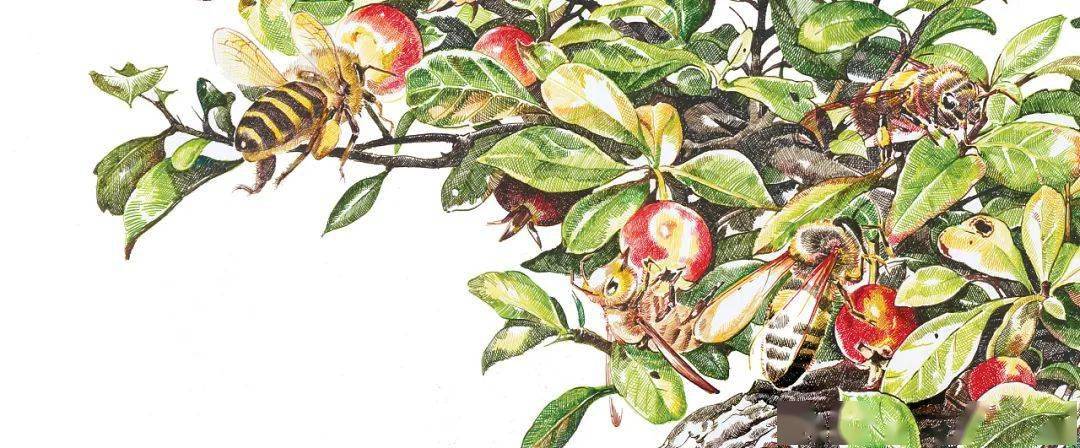 央美才女笔下作品,画到了极致!视觉效果真的太“变态”!
