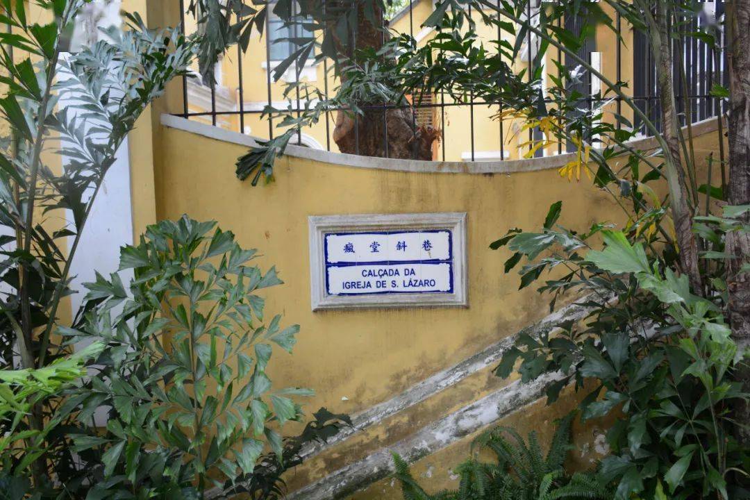 重磅!澳门官宣开放,无需隔离!这块宝地早该去一次了!