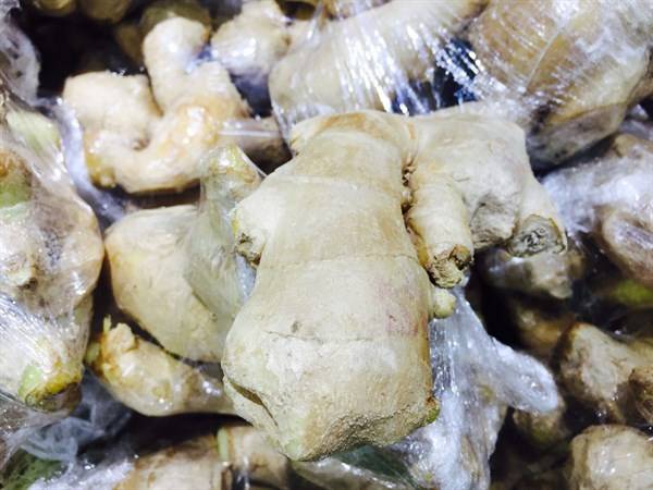 女性养生推荐常吃的食物,健脾养胃,排毒抗衰,增强体质