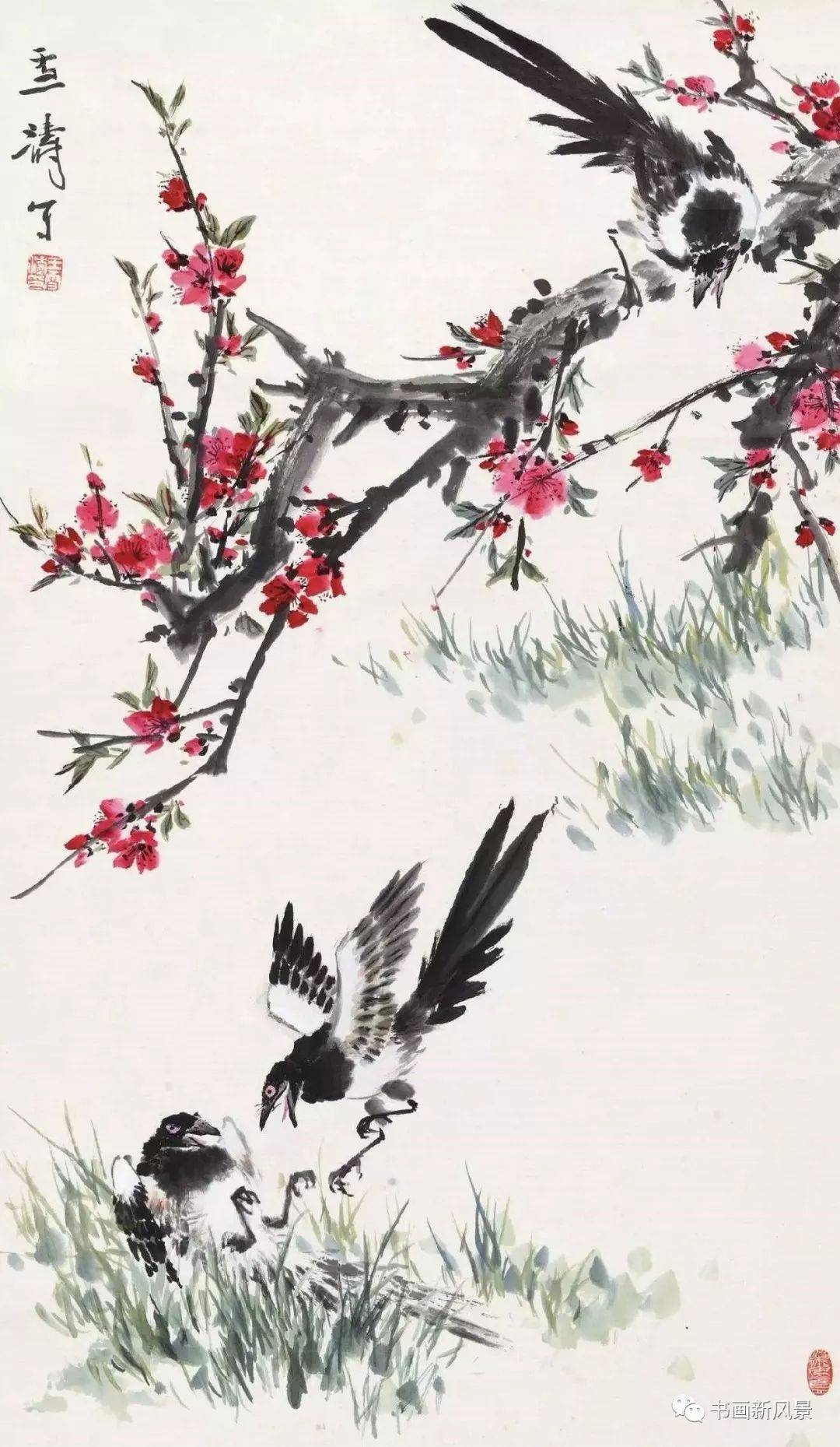 王雪涛画喜鹊精选30幅,养眼!