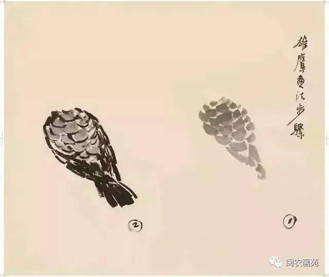 徐悲鸿“手把手”教画花鸟,干货。