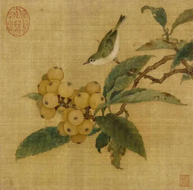 “小满枇杷半坡黄”,画里的枇杷味更诱人哦