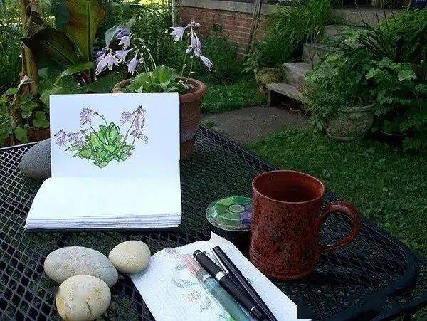 这位老兄弟呀,把自己花园植物画了个遍..