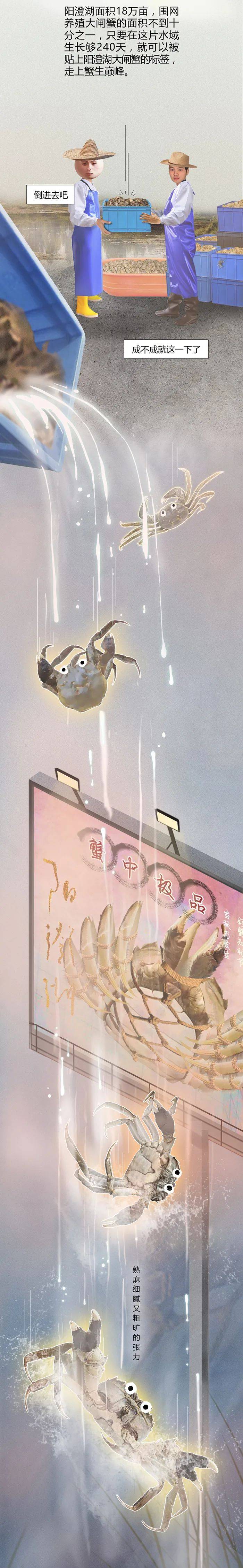 蟹塘梦幻曲