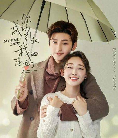 蒋梦婕驾驭不了林黛玉,演网剧成功引起注意,比热巴适合演灰姑娘