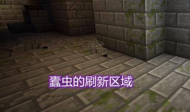 我的世界:蠹虫在灵魂沙上会窒息死亡?很像的螨虫,却能自主消失