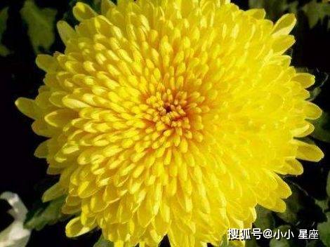 最讨厌谎言的3位生肖女,不允许丈夫撒谎,真诚对待一切