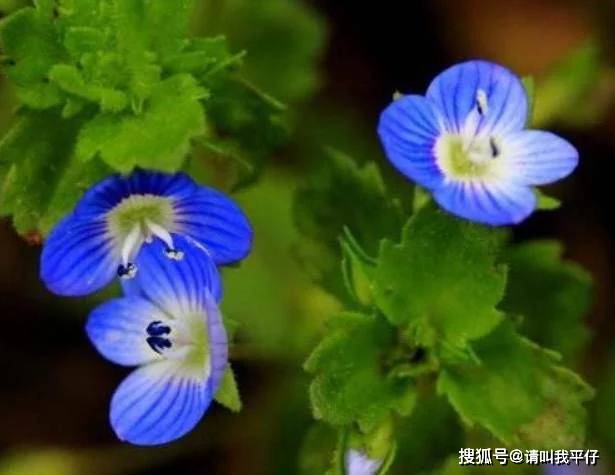喜欢独处的人通常都有这些准则