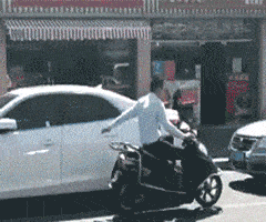 搞笑GIF:新交的女友,大家感觉如何呀?