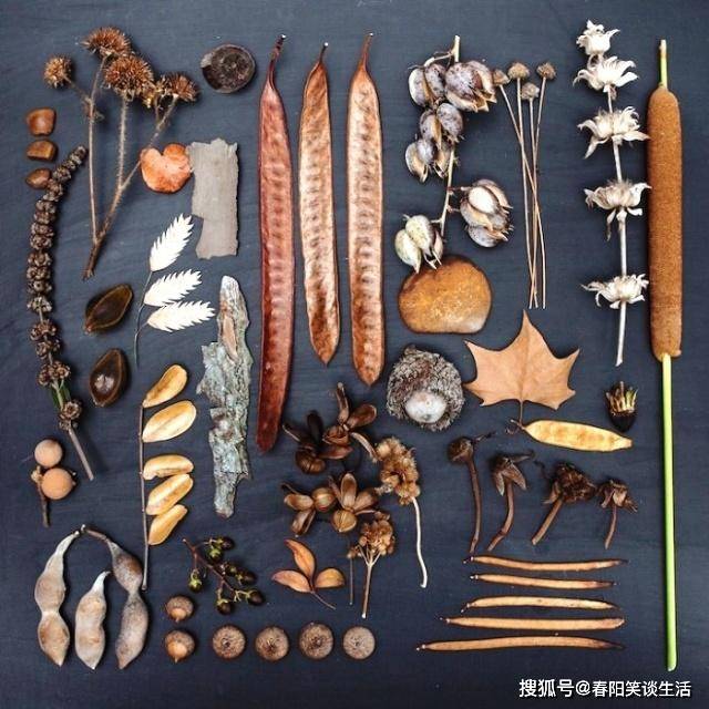 深刻走心的经典说说,通透睿智,唯美现实