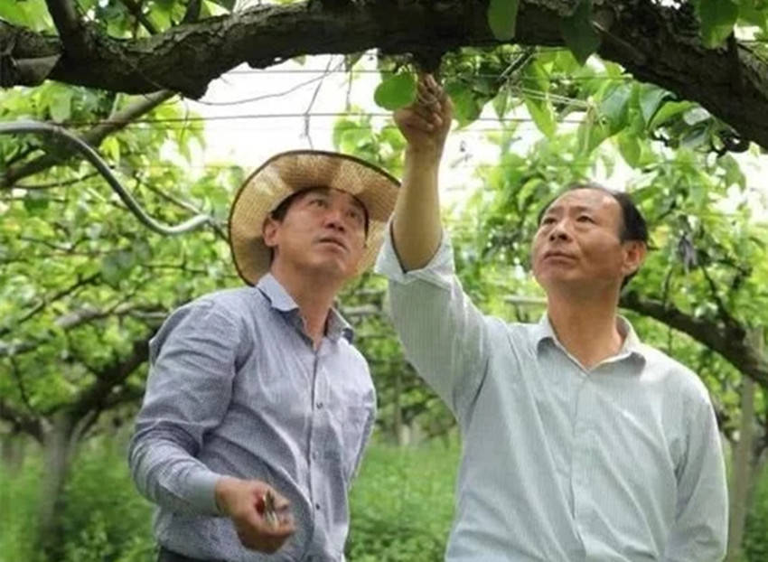 礼赞赵亚夫(外一首)