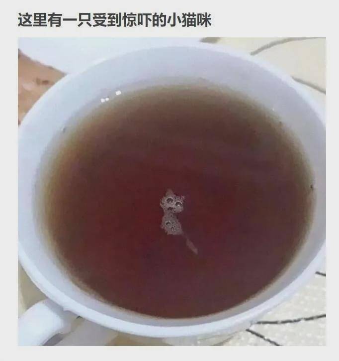 世界上有一种“猫毒”,中了这种毒的人天天看啥都像猫