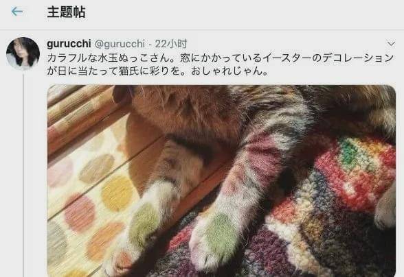 主人看到猫咪在千辛万苦地从窗户爬进屋,为了蹭吃蹭喝也蛮拼的