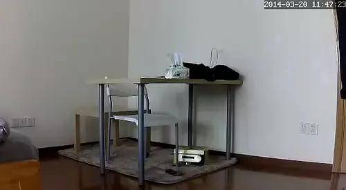 空巢青年上班走后,你的猫都誓静铸着牢狱般的生活