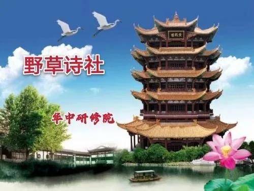 野草诗社中院【第六期】