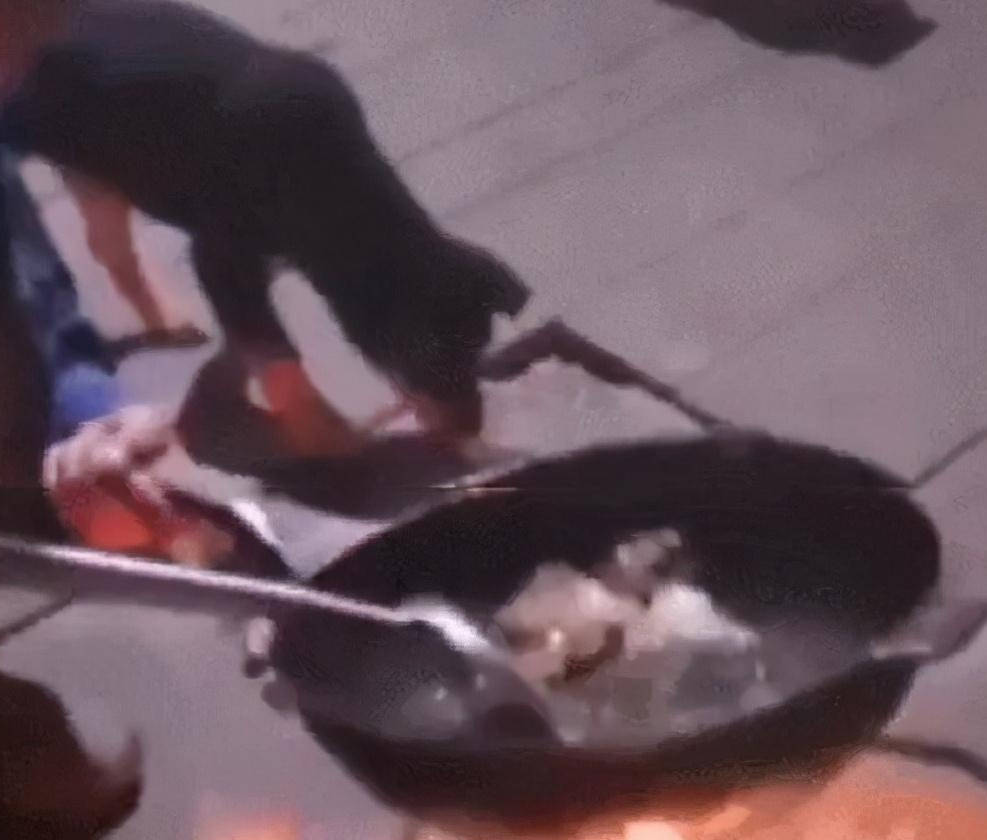 大排档老板掂勺失误,大锅鸡腿掉地后流浪狗懵了:幸福来的太突然