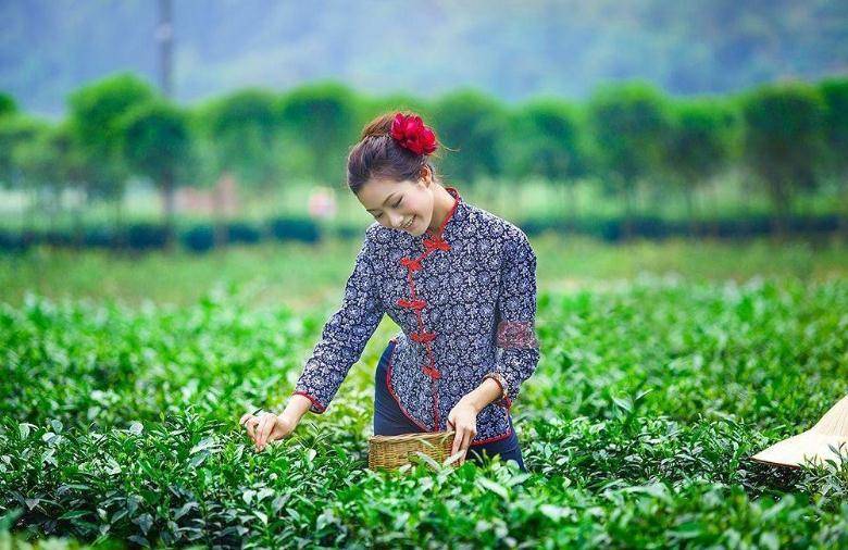 你怕不怕,这辈子就是上辈子你说的下辈子