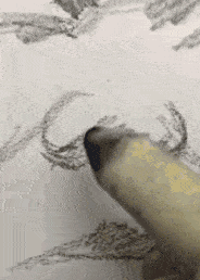 爆笑的GIF趣图:你这刹车真的不错!是不是自己制作的啊!