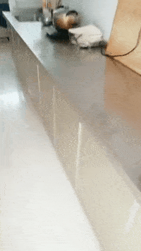 搞笑GIF:锅:我已结网,蛋是跑不了的