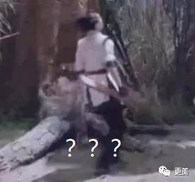5亿投资打水漂?赵丽颖当真带不起王一博?