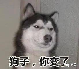 5亿投资打水漂?赵丽颖当真带不起王一博?