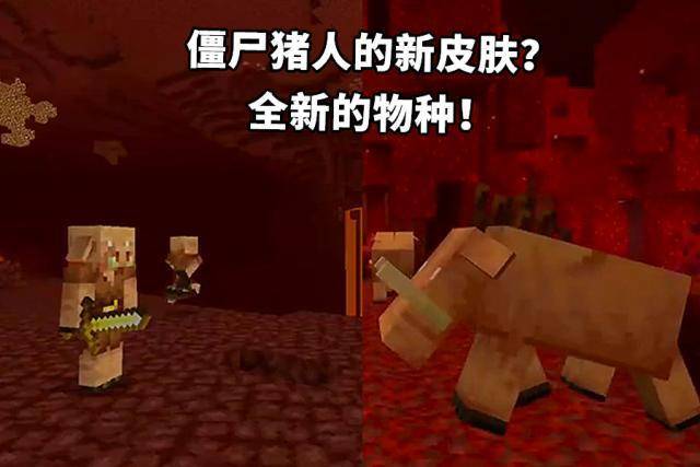 我的世界:MC年度盛会讲了些啥?下界出现新生物,TNT可一键盖房