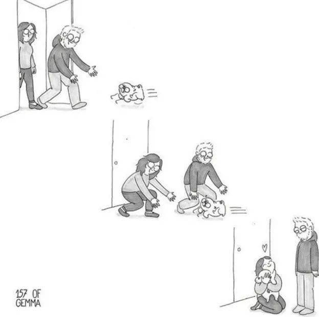 你养狗也这样,准的我无话可说
