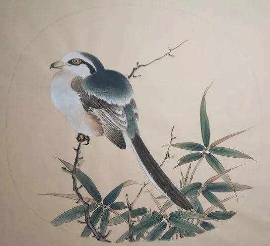 鸟语花香 | 清华美院《历代花鸟画研究与创作》课程在线教学探索