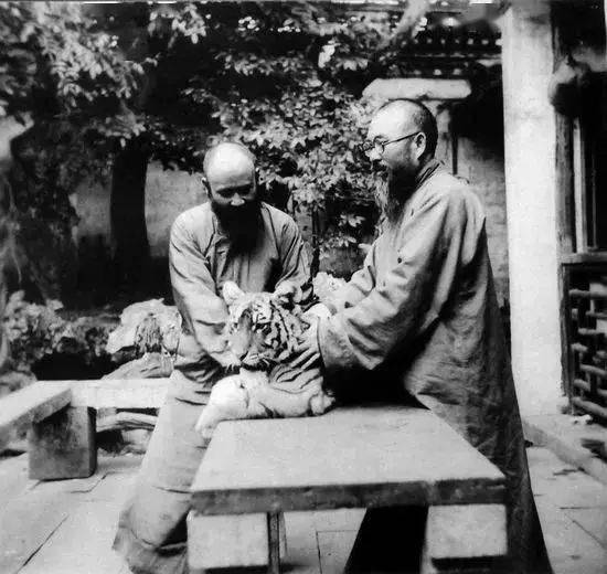 历代名家画虎,形神兼备、霸气十足!