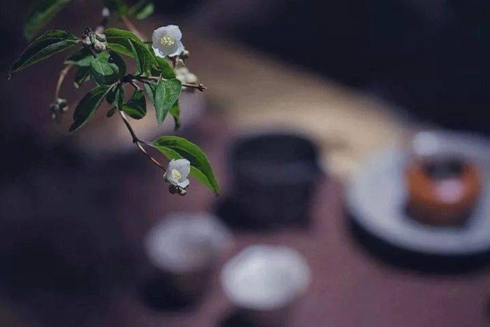 人在有闲的时候,才最像是一个人
