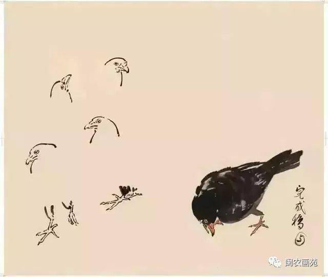 徐悲鸿“手把手”教画花鸟,干货。