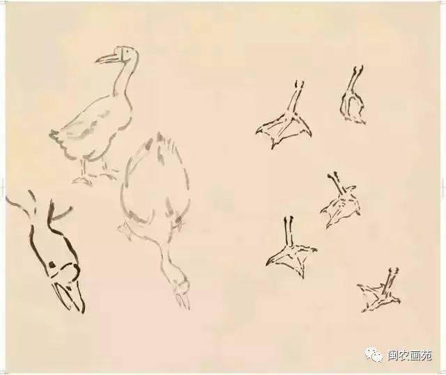徐悲鸿“手把手”教画花鸟,干货。