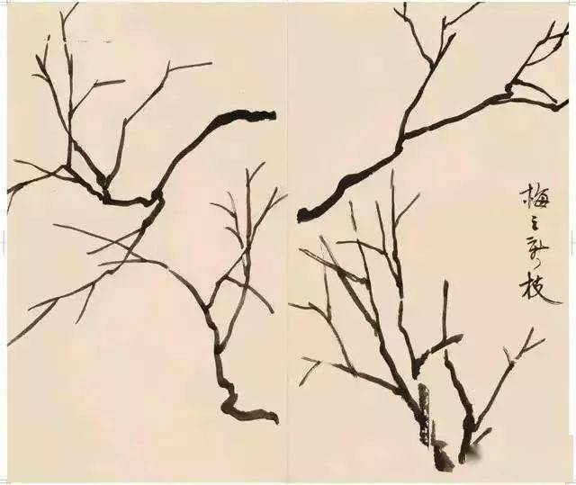 徐悲鸿“手把手”教画花鸟,干货。