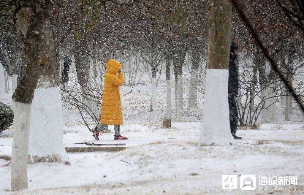 一场大雪,让烟台美翻全国